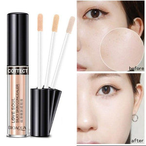 Bioaqua Silky Skin Concealer 01